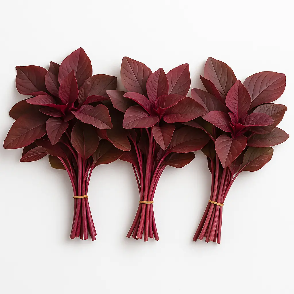 RED CHOLAI A GRADE 450-500GM