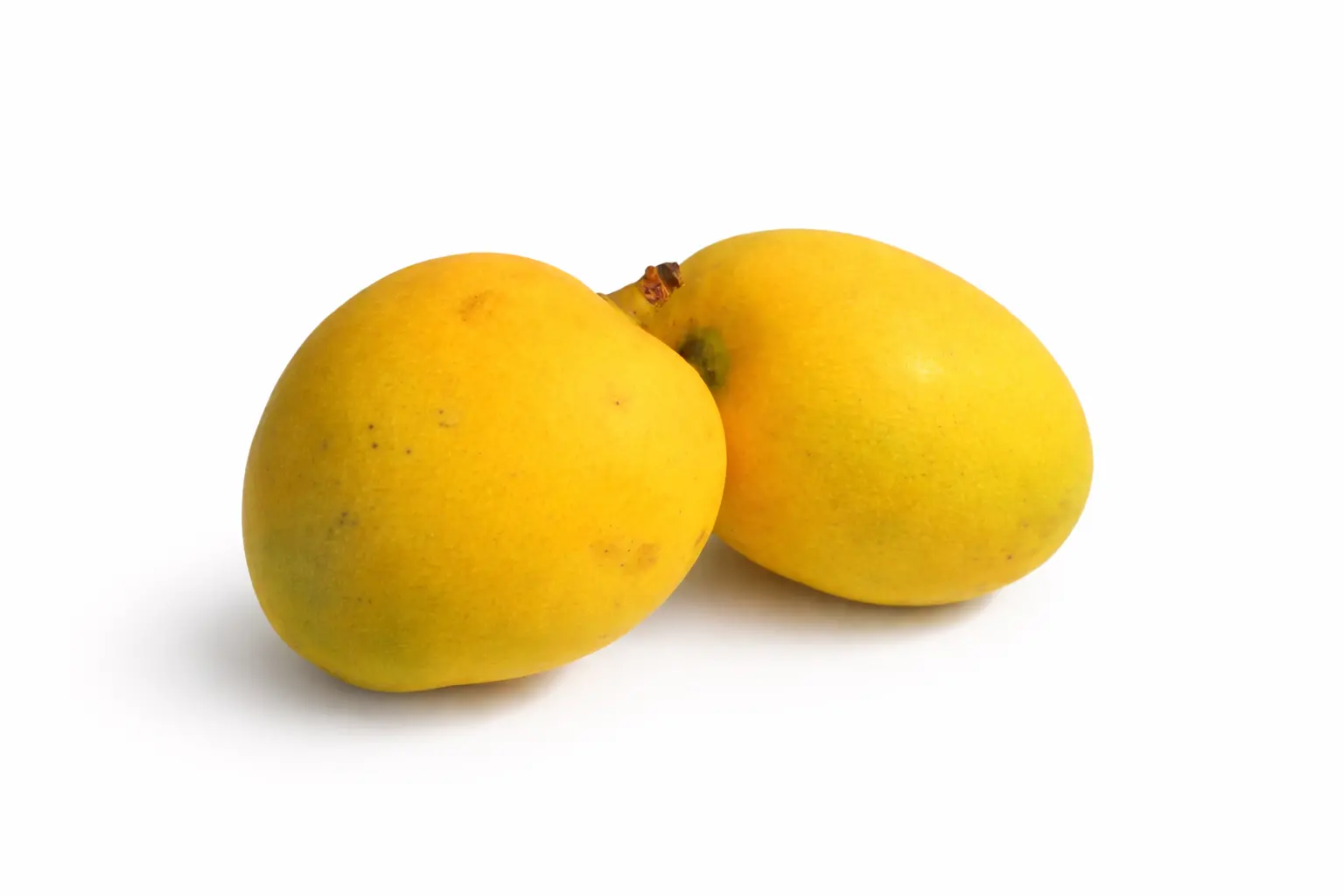 Mango Perry Golden (450 - 500 gm)