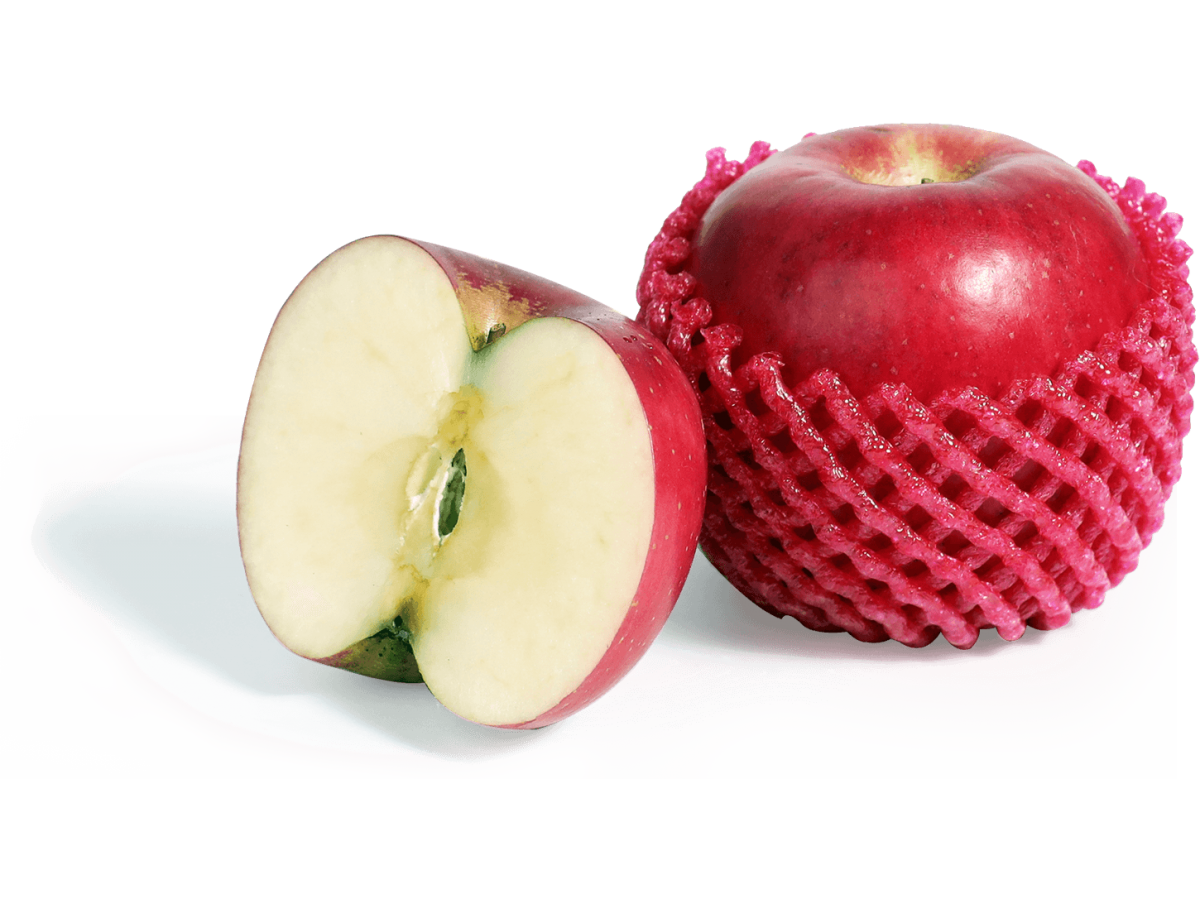 APPLE FUJI USA 450-500 GM