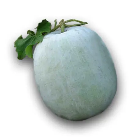 WHITE PETHA LARGE 3KG-3.5KG