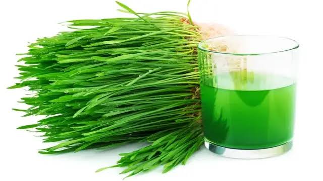 WHEATGRASS ( CHIVES ) - 300 GM