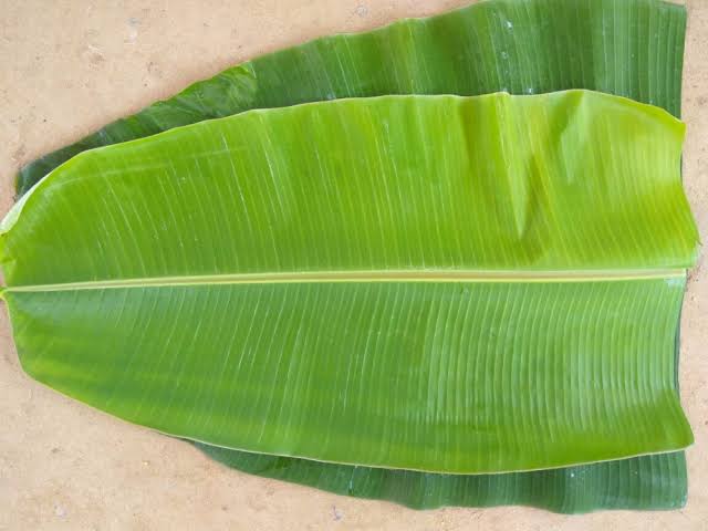 BANANA LEAF 1 PC