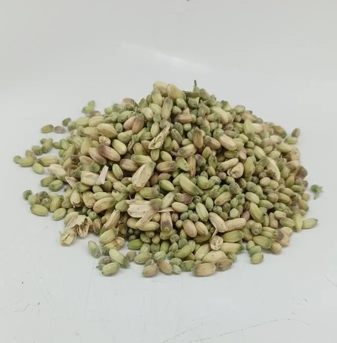 SAHJAN FLOWER 200-250GM