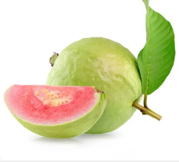 RED GUAVA HYBRID  550-600GM