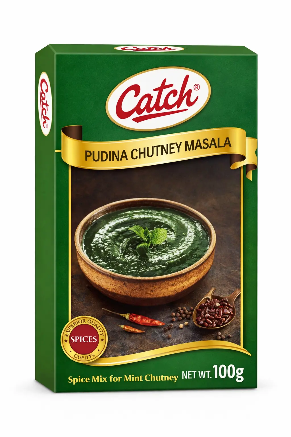 Catch Pudina Chutney Masala 100 gm