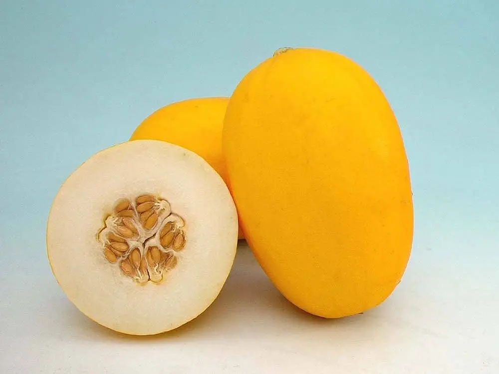 KHARBOOJA SHARDA A GRADE  1-1.250KG