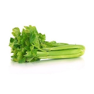 CELERY – 250g