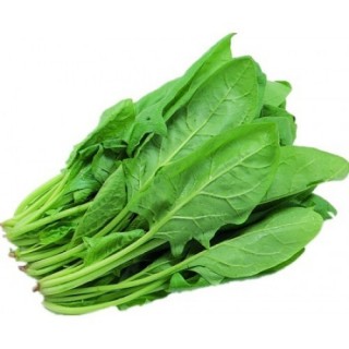 Spinach (Palak) -(900g to 1 kg)