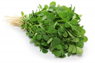 METHI (FENUGREEK) - 500g