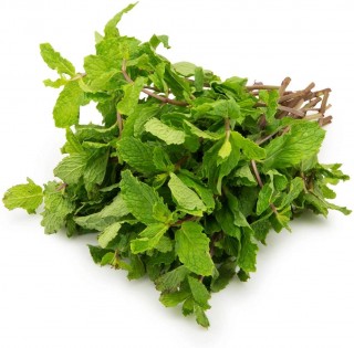 MINT (PUDINA) - 100g