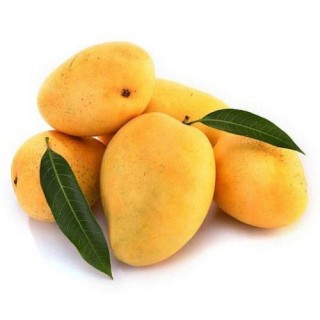 MANGO CHAUSA - (approx850g - 1kg)