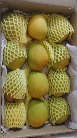 ALPHONSO MANGO RATNAGIRI ( 12 pcs)