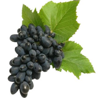 BLACK GRAPES(LOOSE) -250GM