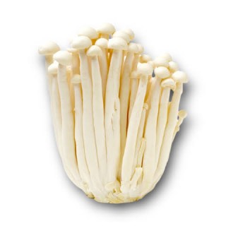 ENOKI MUSHROOM (100G-118G)