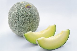 JAPANESE MELON 1 PCS 