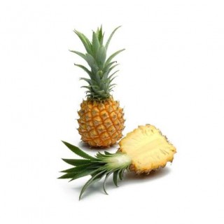 PINEAPPLE  (Ananas Comosus) Imp. 1 pcs