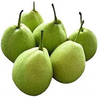 PEAR NAKH - ( 500G )