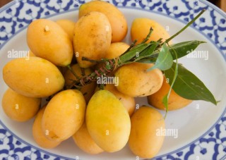 MANGO PLUM  IMP (800GM-900GM)