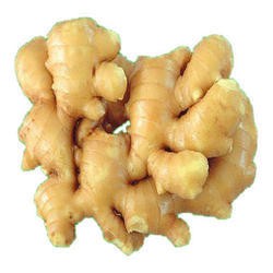 New Ginger(Adrak) - (Approx 200g-250g)