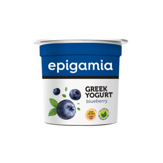 Epigamia Blueberry 85 g