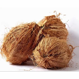 COCONUT GRADE – 1pc