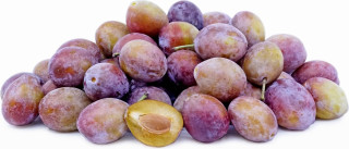 SUGER PLUM