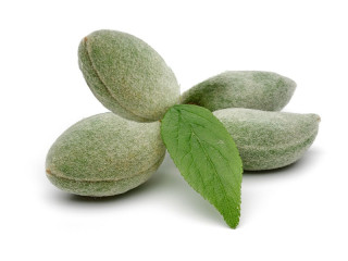BADAM GIRI GREEN 1 PKT 