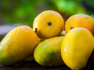 MANGO LANGRA GOLDEN  - (Approx 950-1kg)