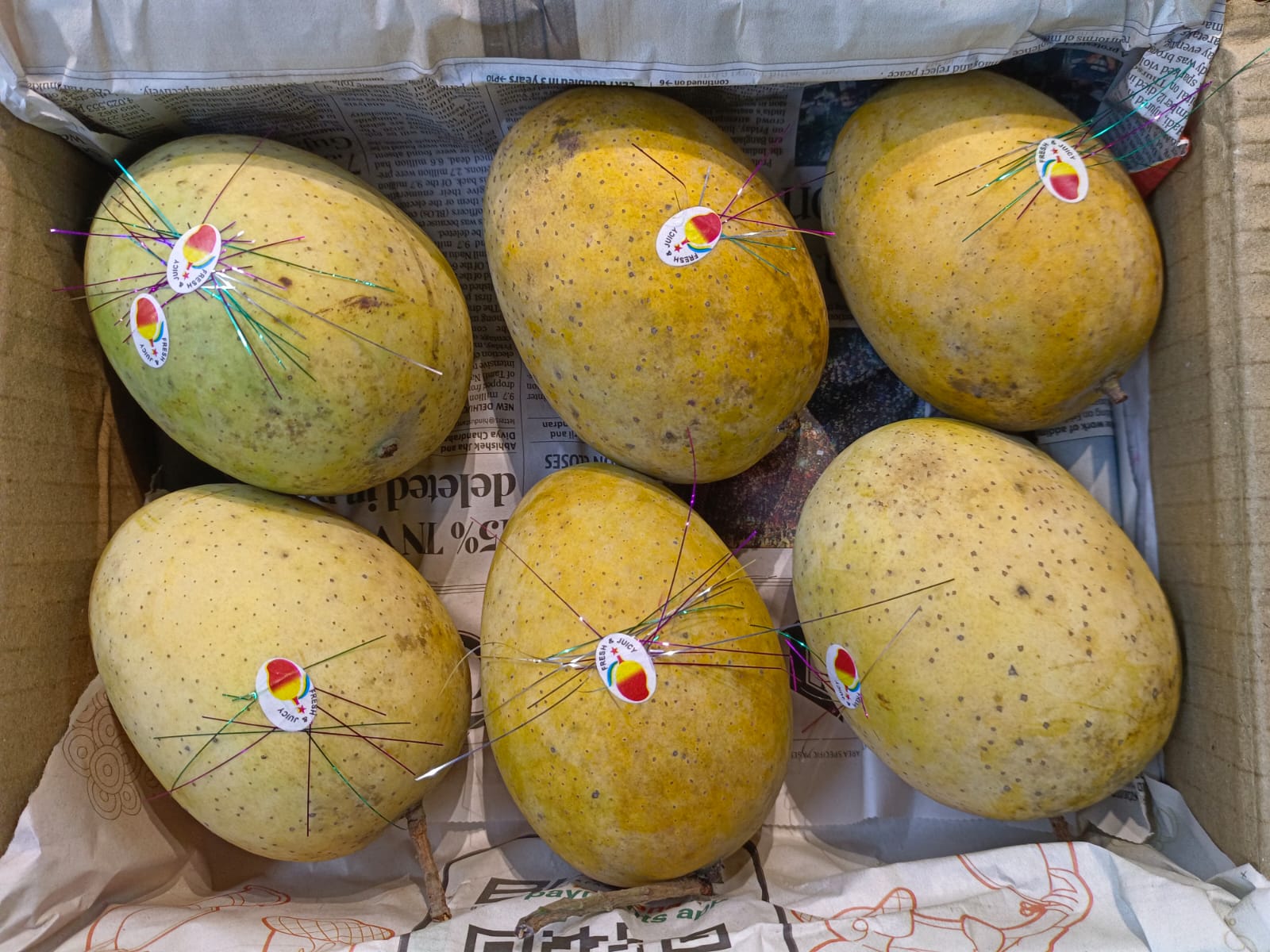 MANGO LANGRA GOLDEN - 6 PC BOX