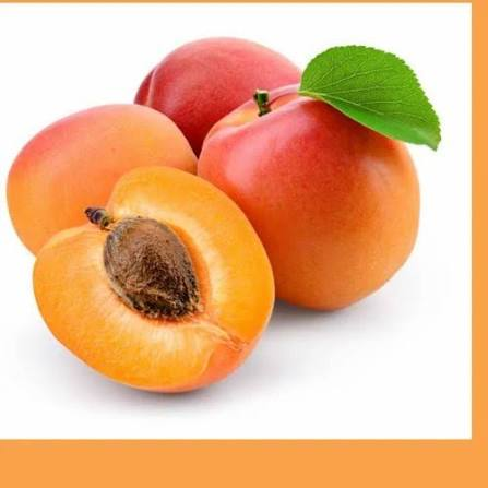 APRICOTS IMP PKT