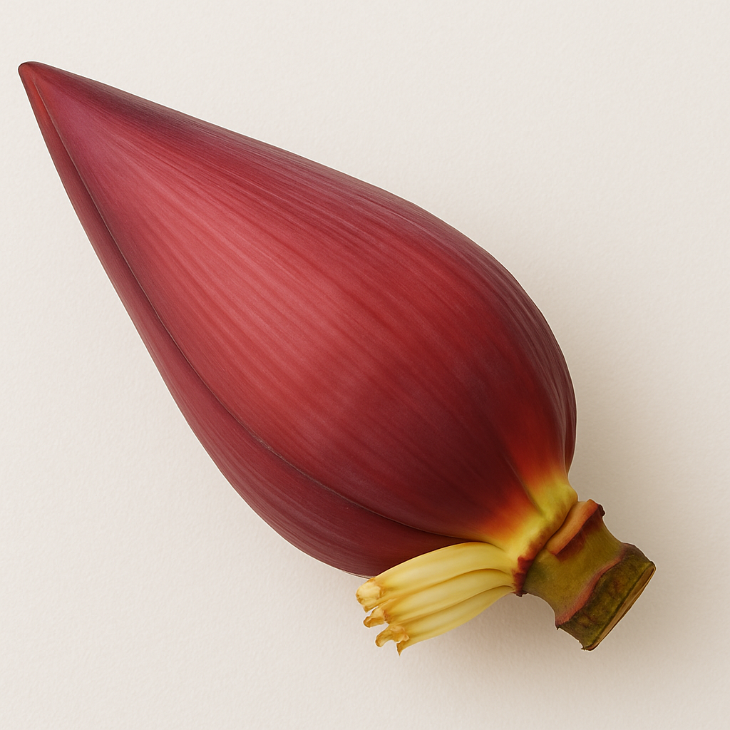 BANANA PHOOL 1PCS