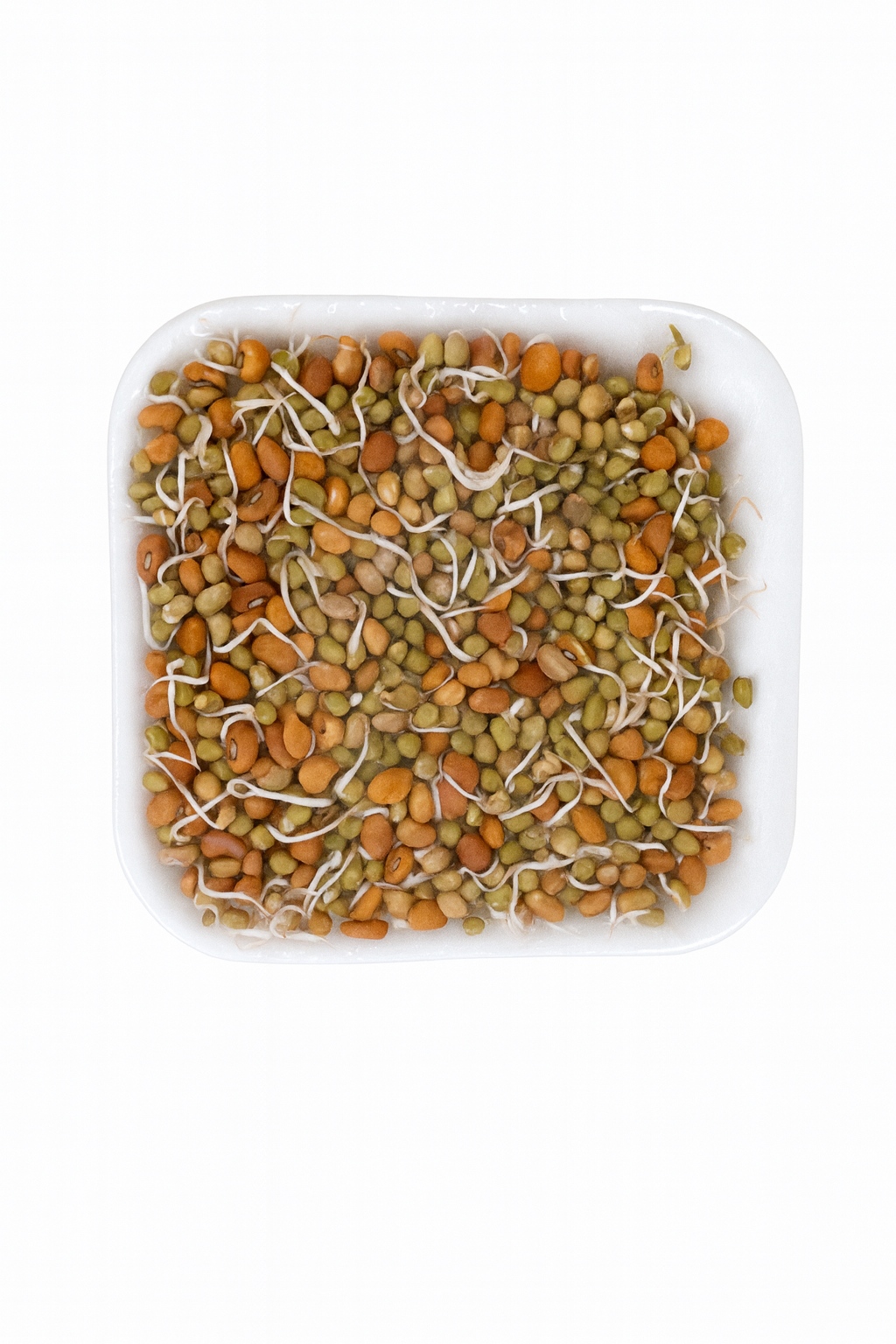 MIX SPROUT 1PKT