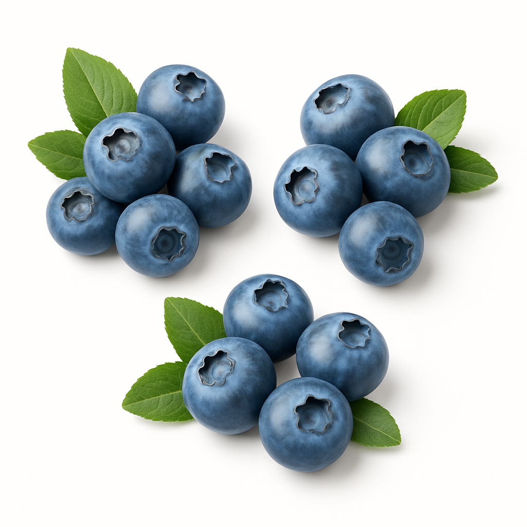 BLUEBERRY PKT