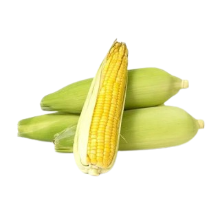 BHUTTA A GRADE 700-800GM