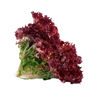 RED SALAD A GRADE 220-250GM