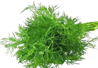 SOYA SAAG A GRADE