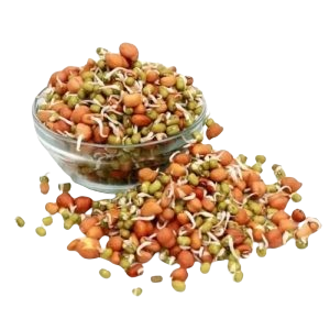 MIX SPROUT 1PKT