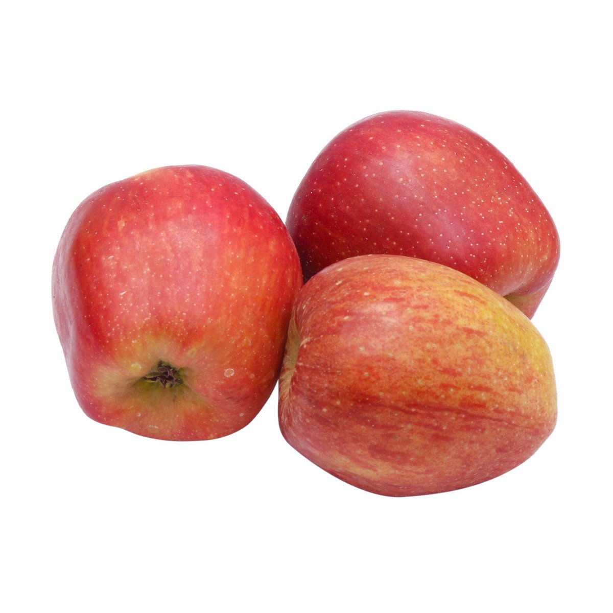 APPLE KASHMIR