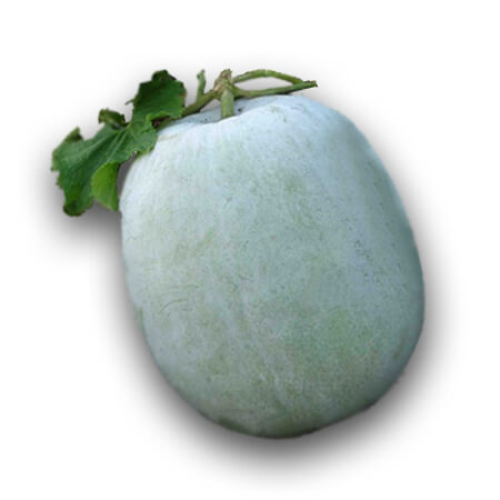 WHITE PETHA LARGE 3KG-3.5KG