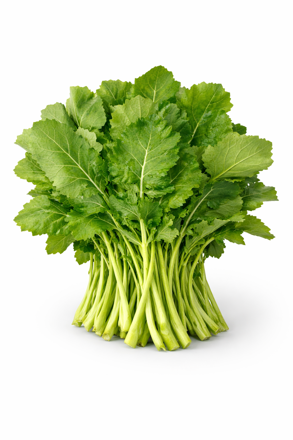 SARSO SAAG A GRADE 850-1KG