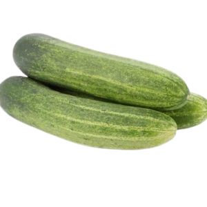 CUCUMBER MALINI A GRAD 1KGE